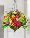 Outdoor Vivid Blooms Foliage