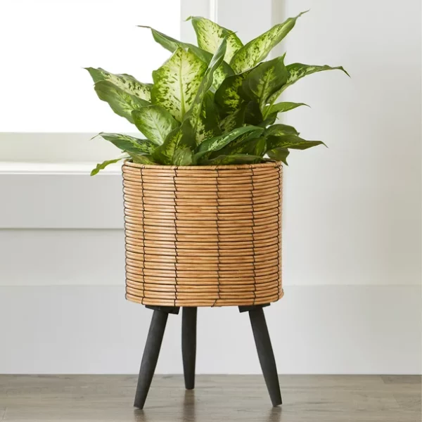 The Better Homes and Gardens